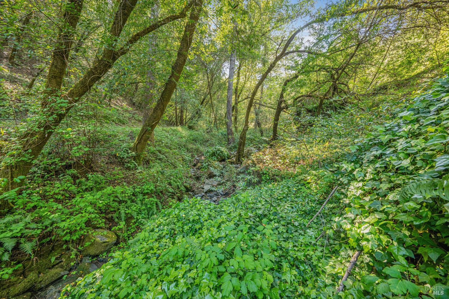 1311 W Dry Creek Road