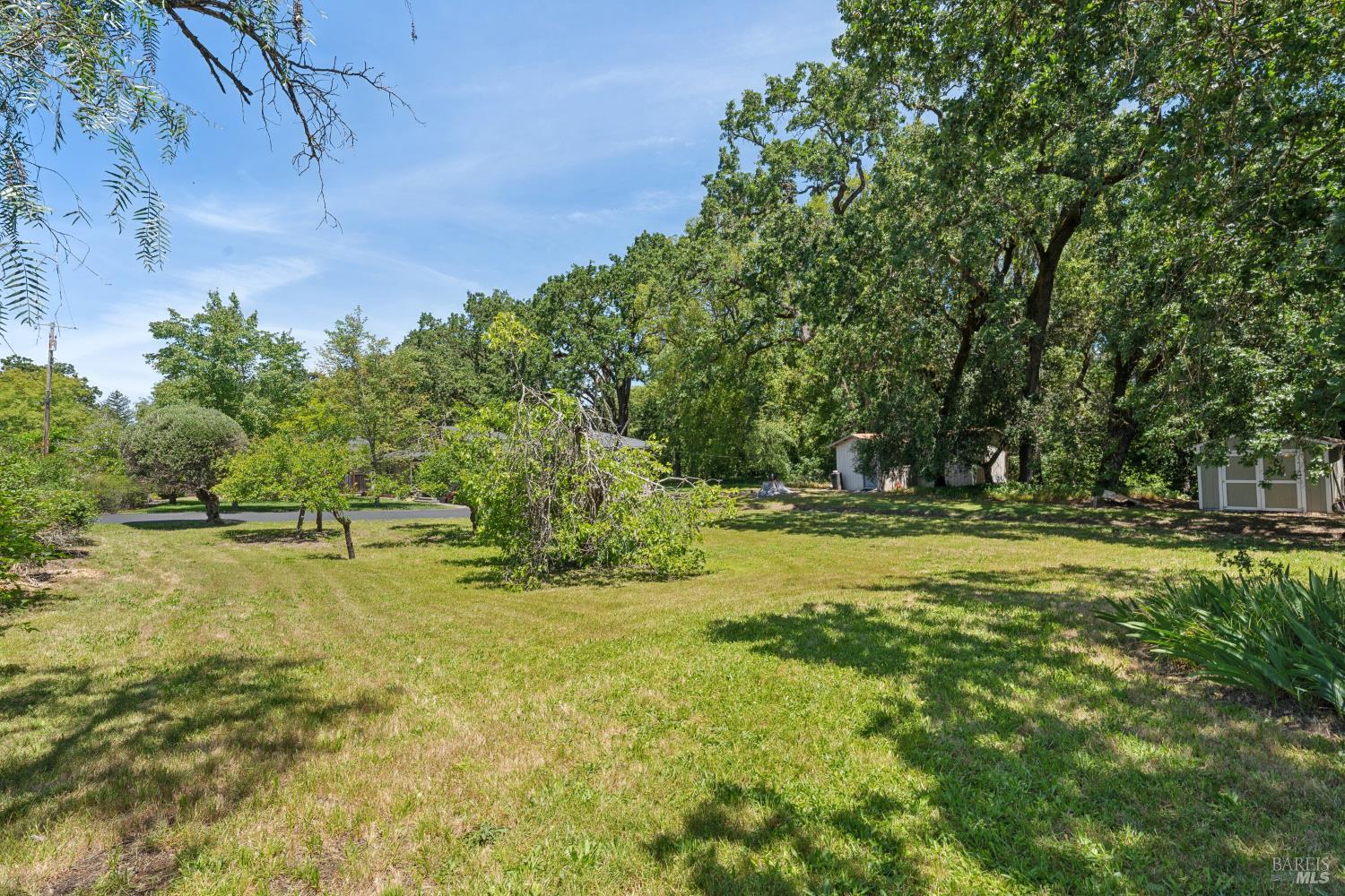 825 Woodside Aka Madrone Road