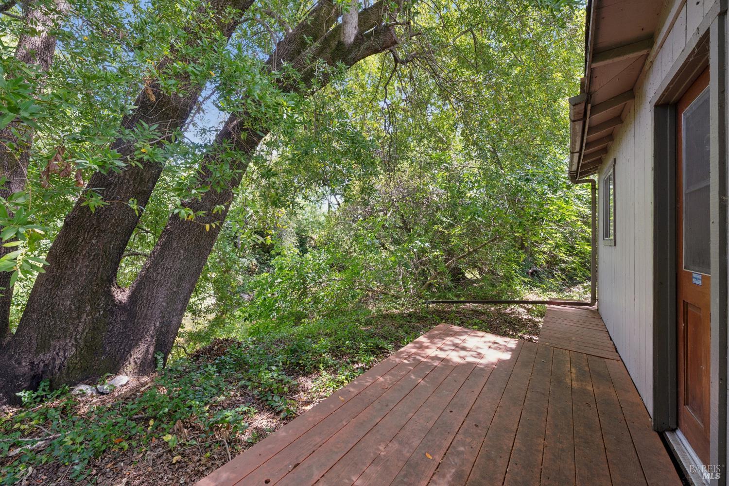825 Woodside Aka Madrone Road