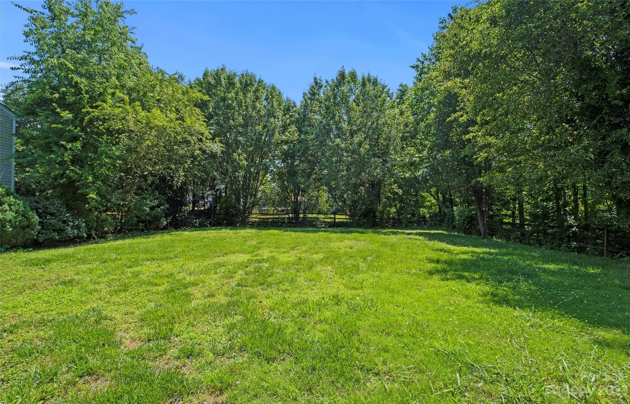 Backyard lawn bordered by mature trees and a wooden privacy fence.