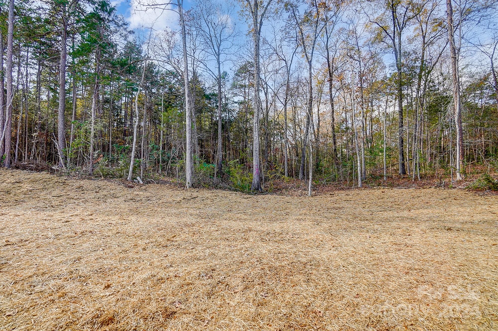 Broad lawn bordered by a wooded tree line.