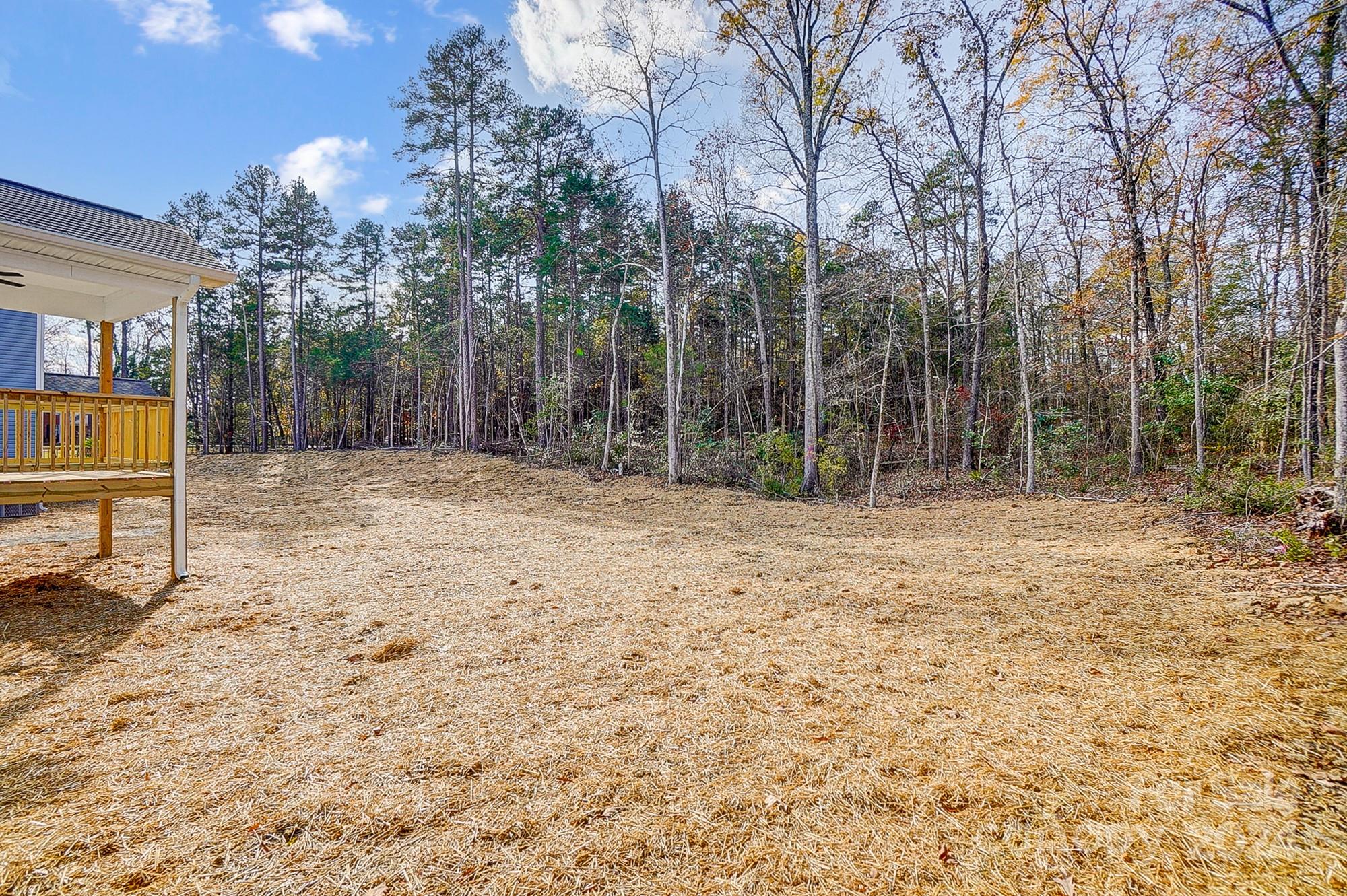 Backyard with a straw-covered lawn, wooded boundary, and raised wooden deck.