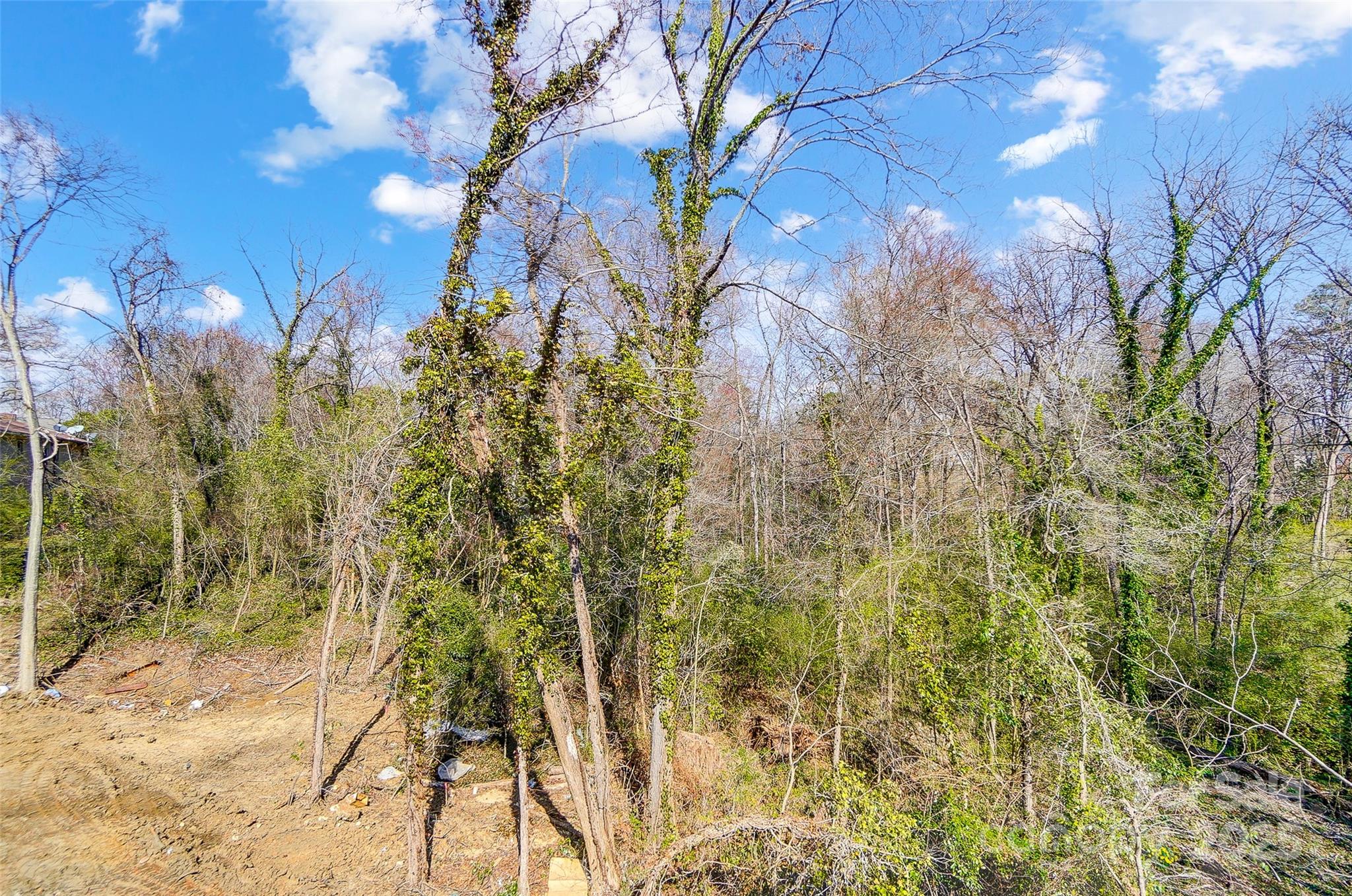 Wooded lot with ivy-covered trees, bare branches, and a cleared dirt area.