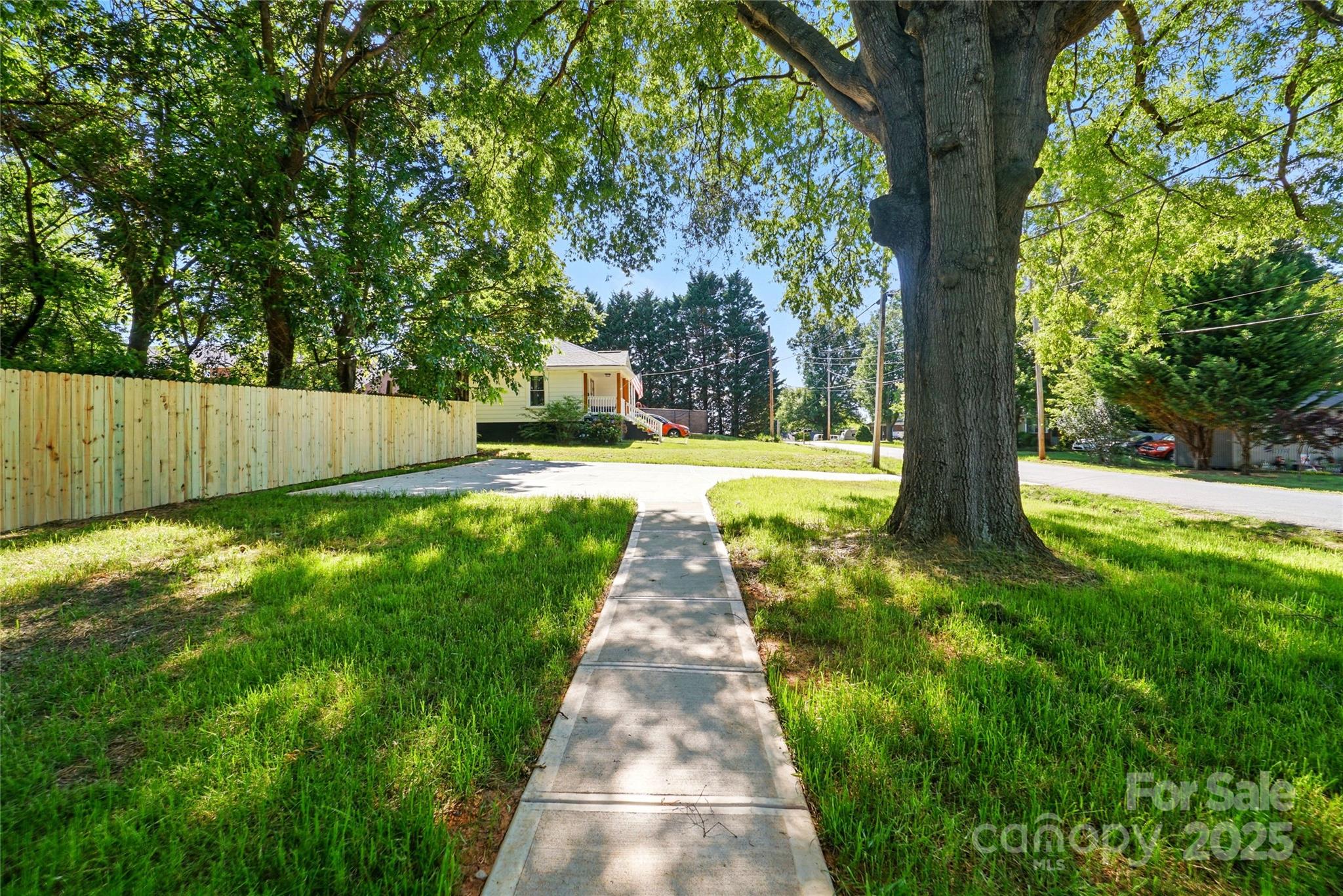Grassy front yard with a sidewalk beneath a large shade tree and a wooden fence.
