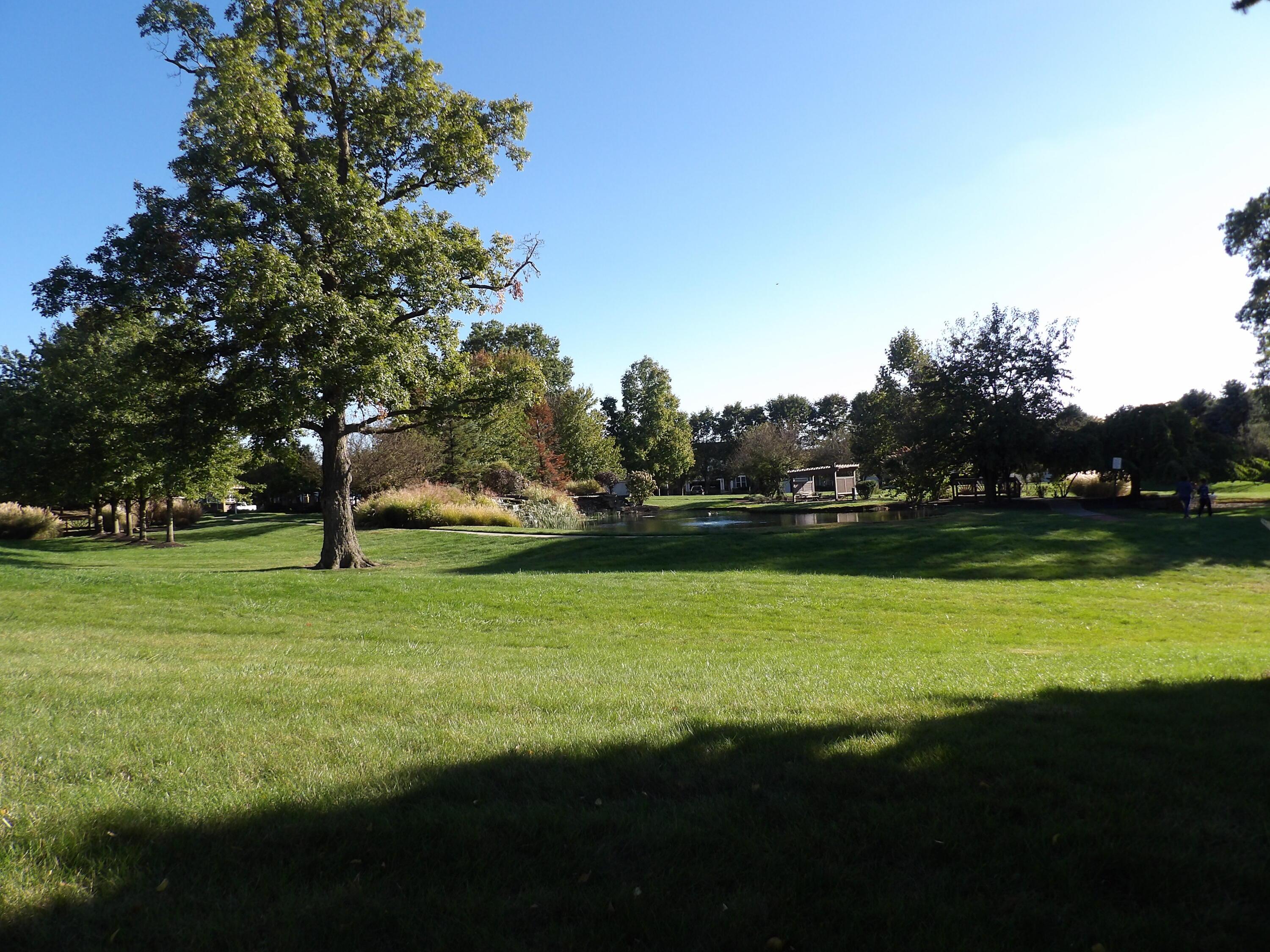 6343 Hoffman Trace Drive