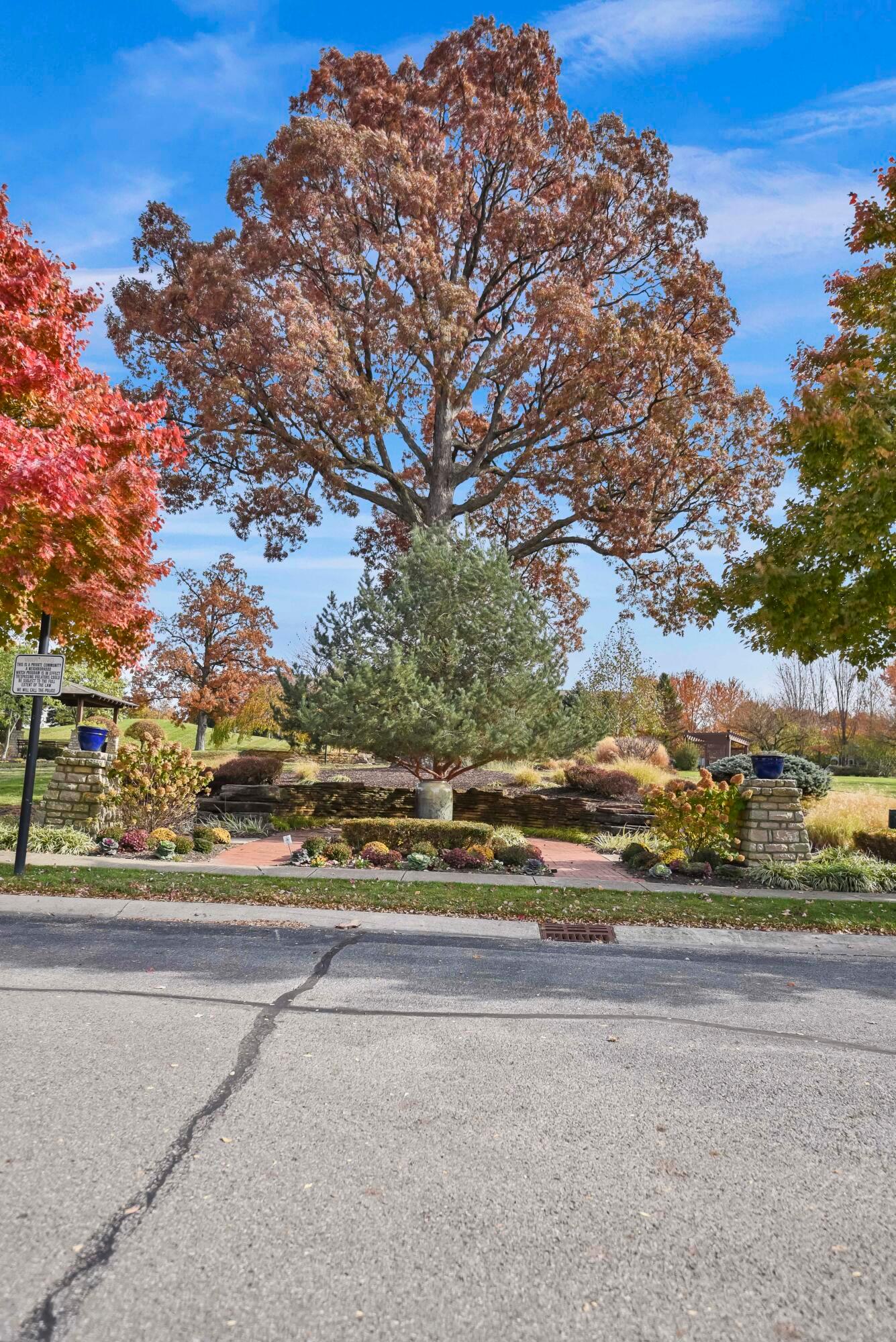 6343 Hoffman Trace Drive