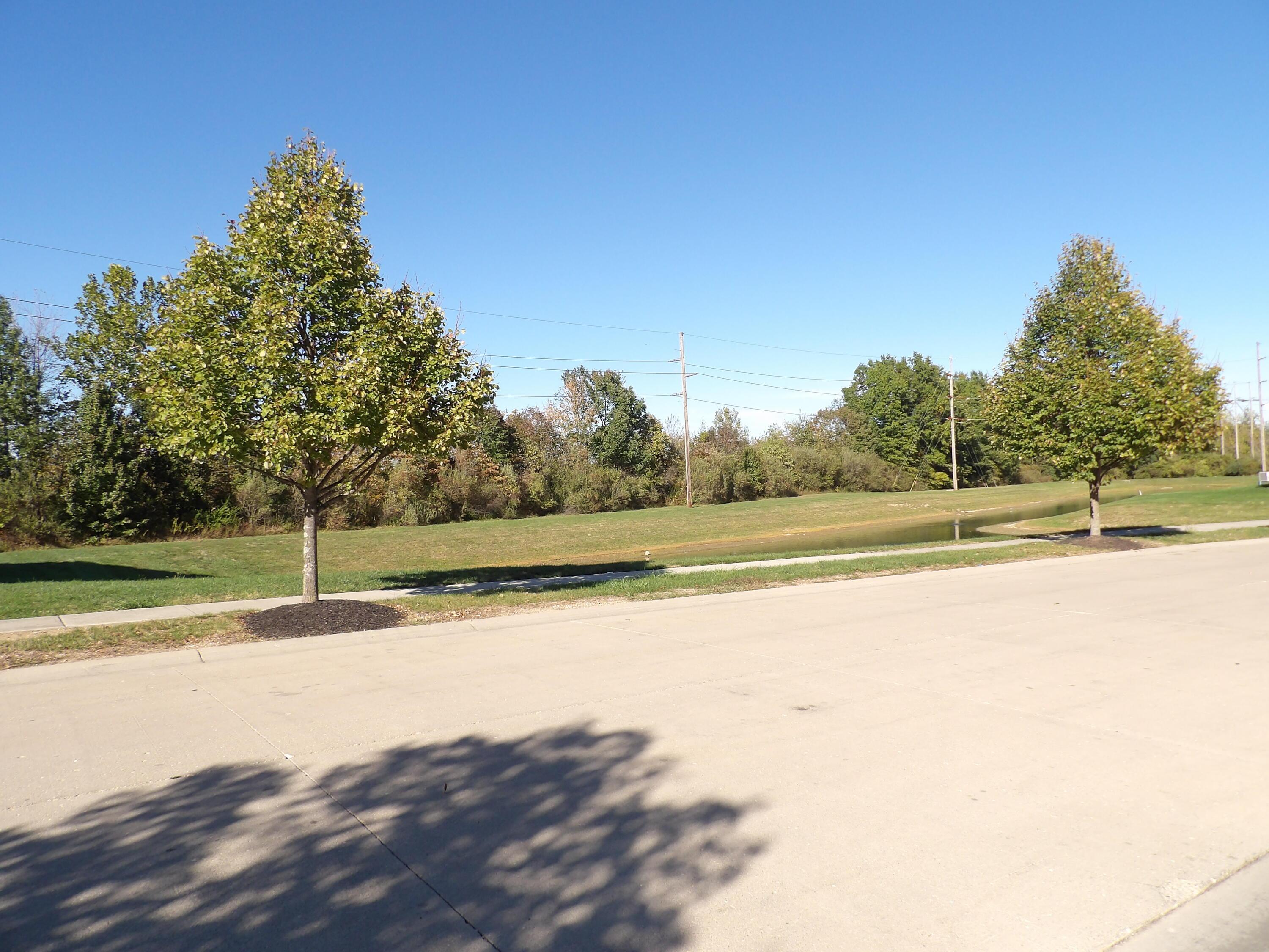 6343 Hoffman Trace Drive