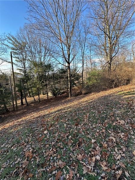 114 Grienbriar Dr.