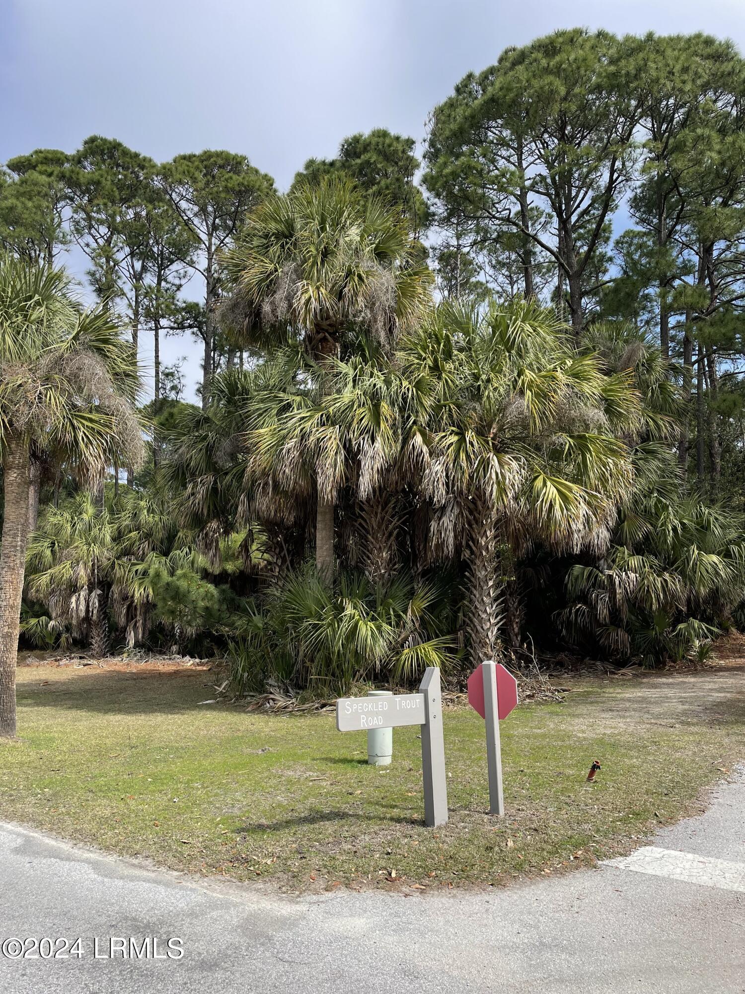 377 Speckled Trout Road