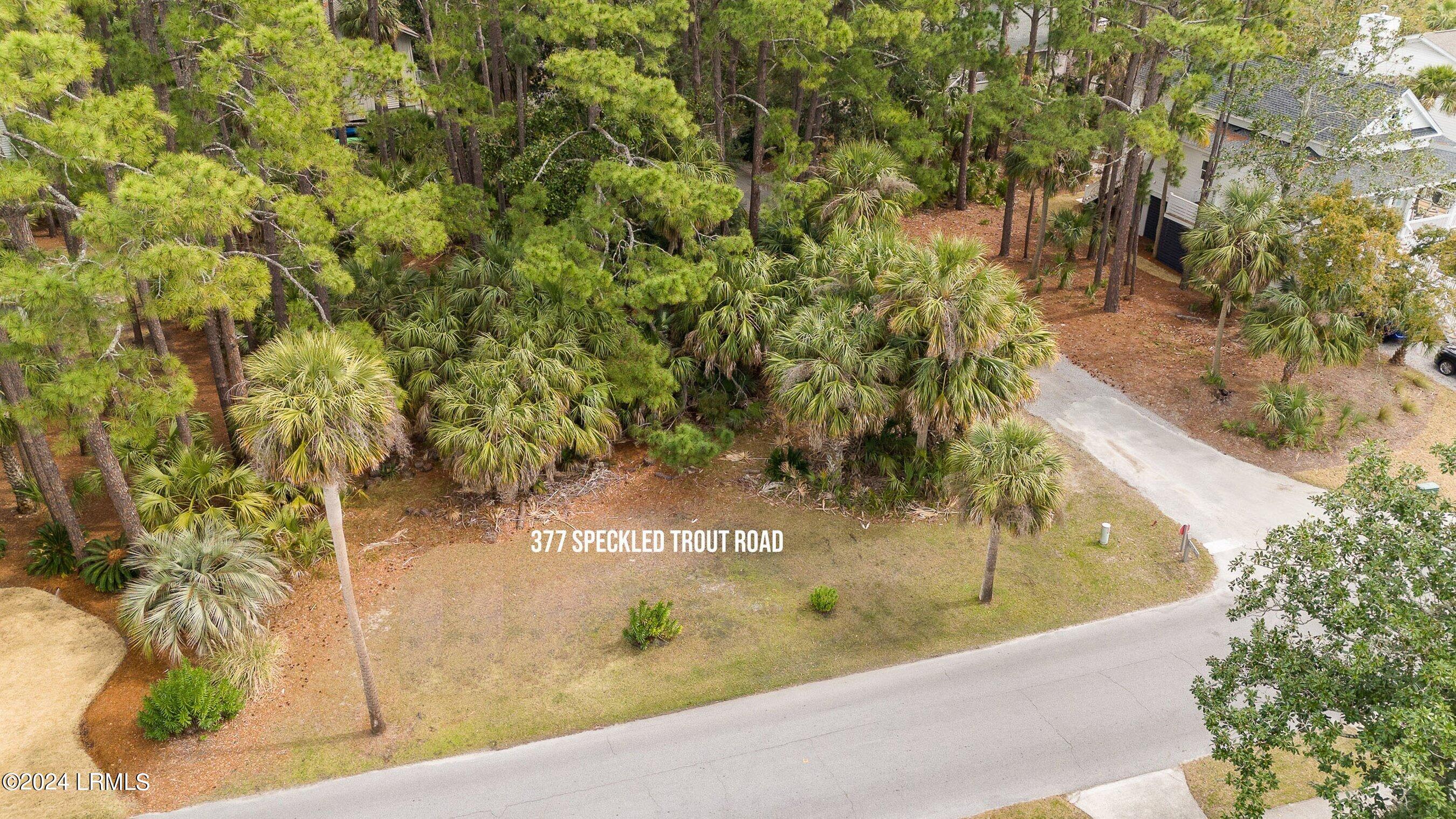 377 Speckled Trout Road