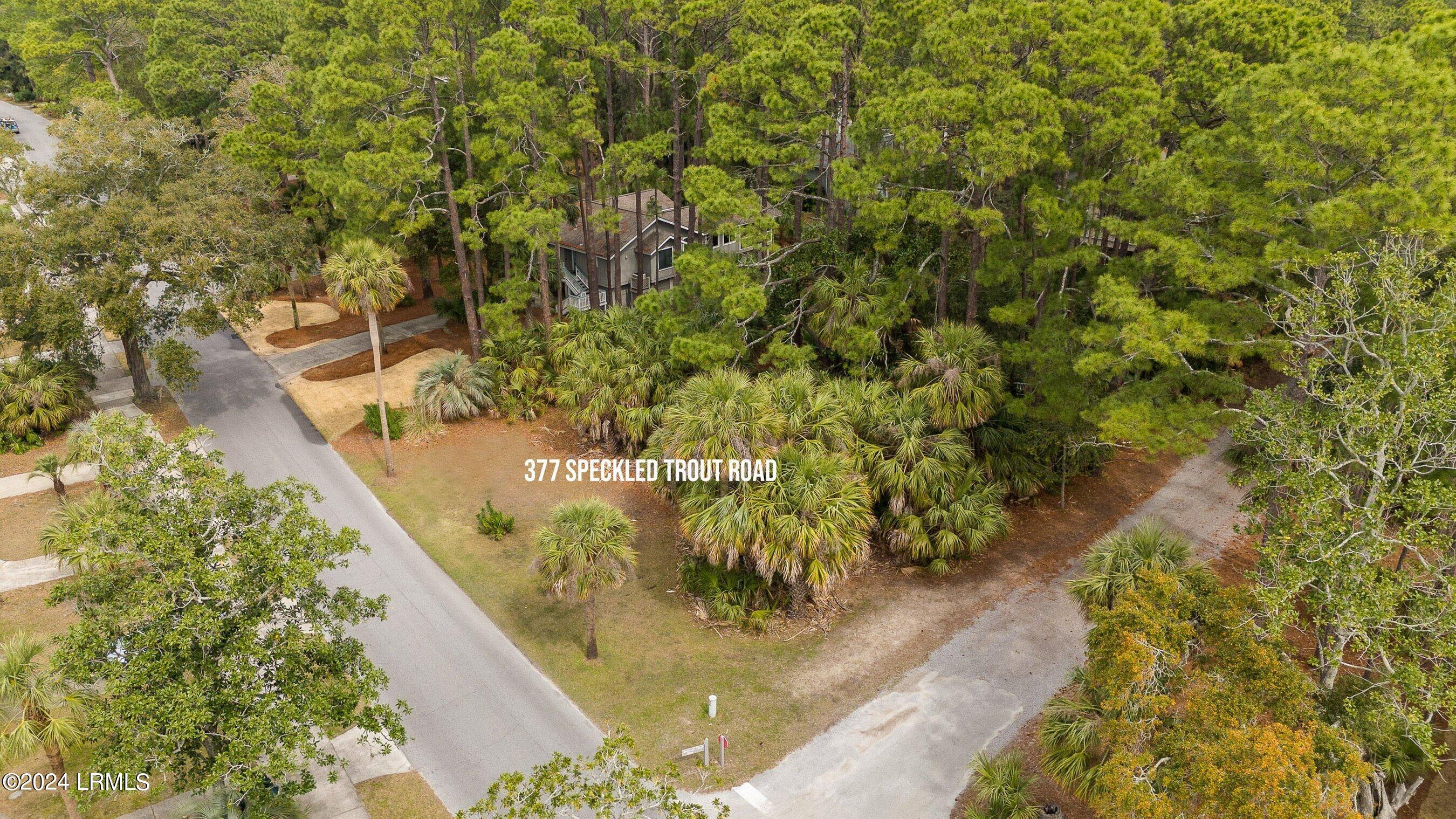 377 Speckled Trout Road