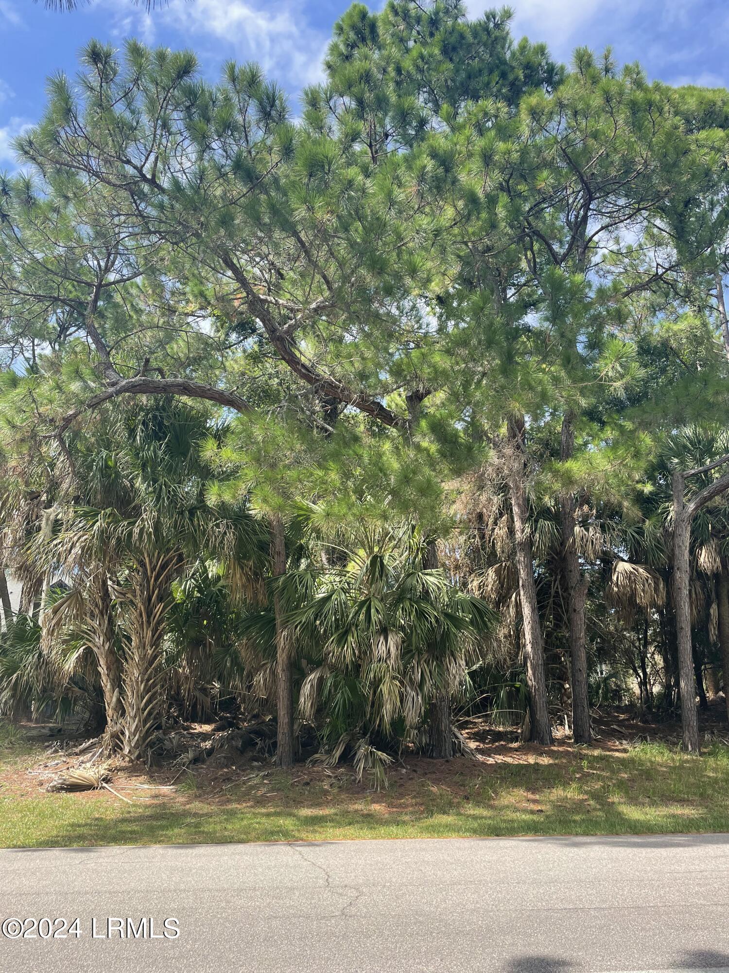 664 Dolphin Road