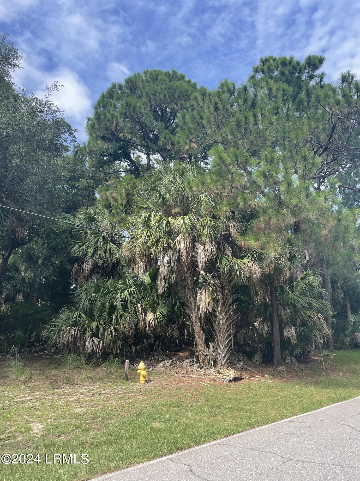 664 Dolphin Road
