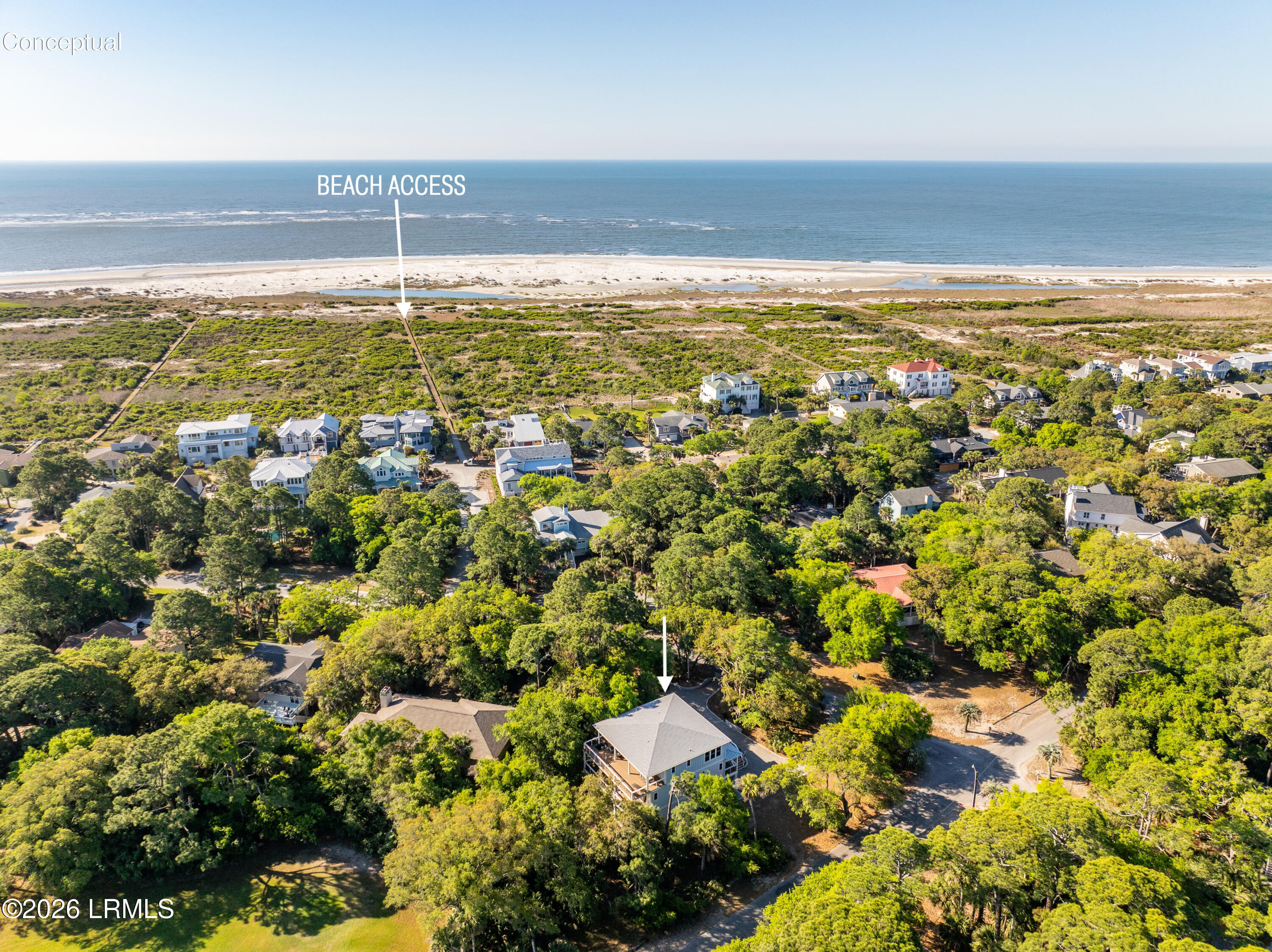 631 Dolphin Road