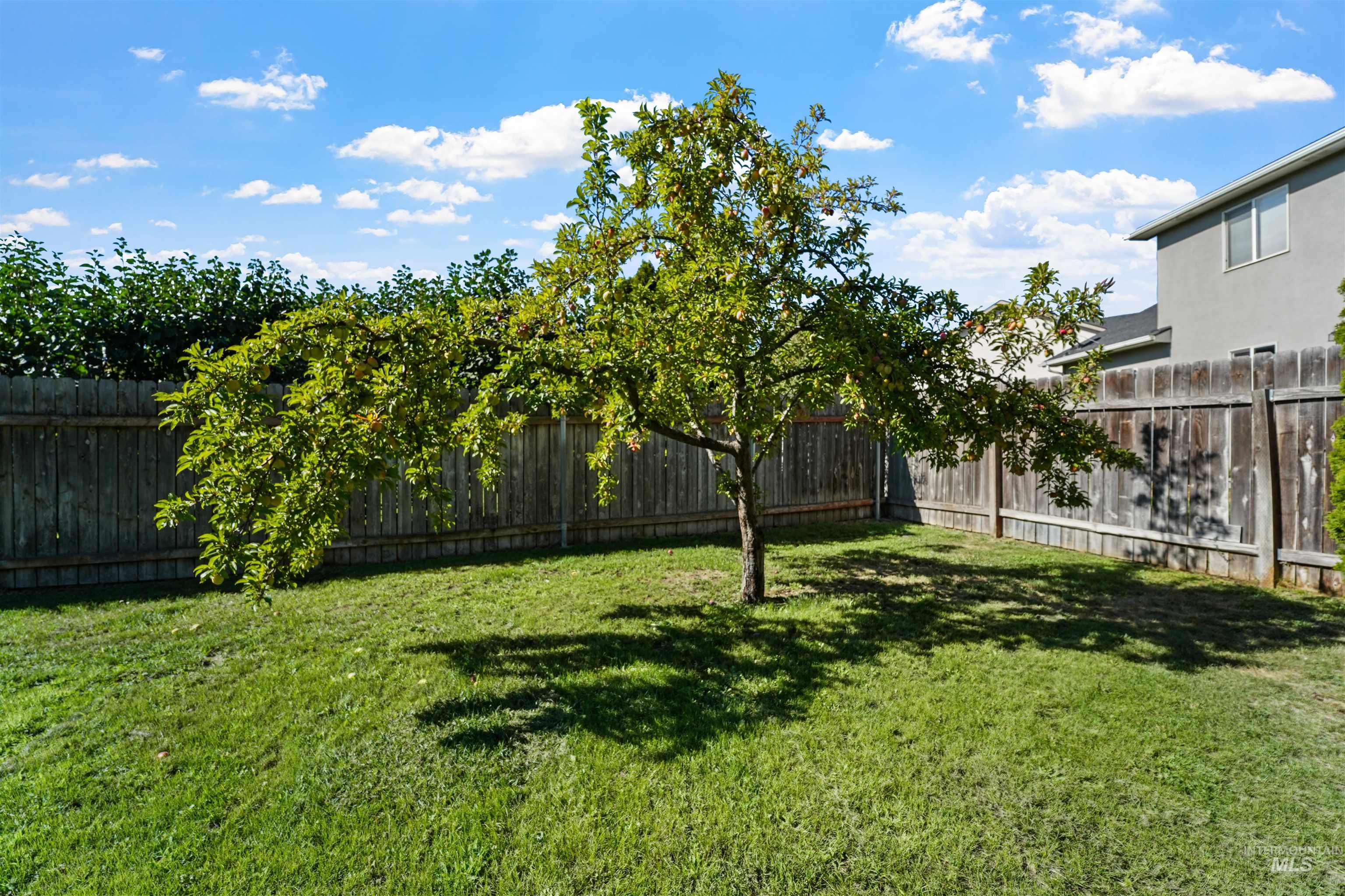 221 Orchard Heights