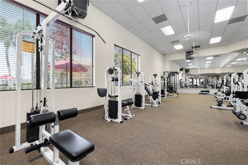 24909 Madison Avenue 2612