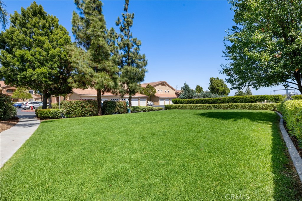 24909 Madison Avenue 2612