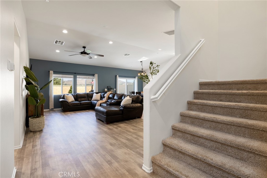 30096 Mount Menifee Street