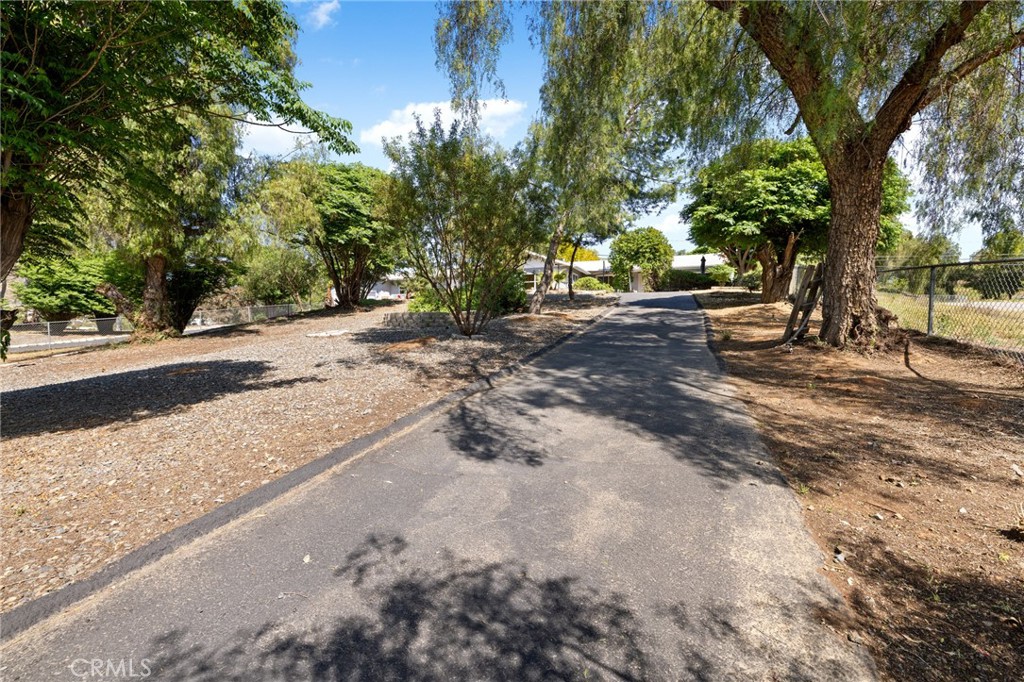 29020 Avenida De Las Flores