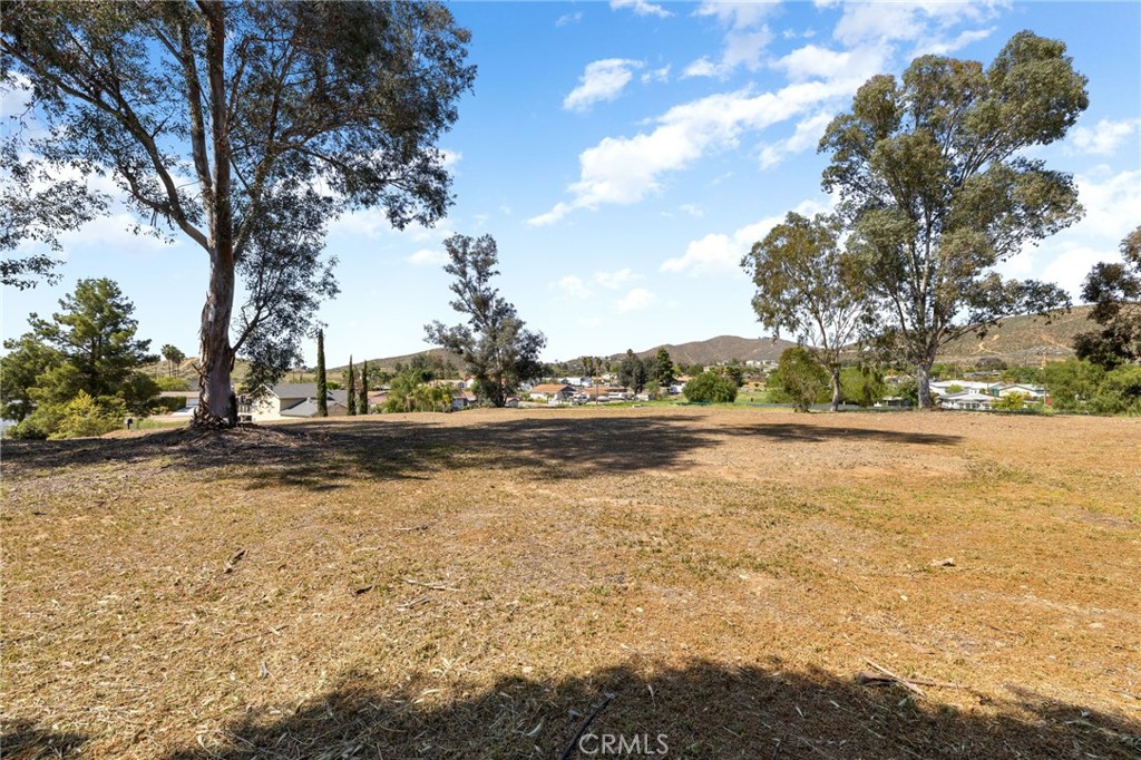 29020 Avenida De Las Flores