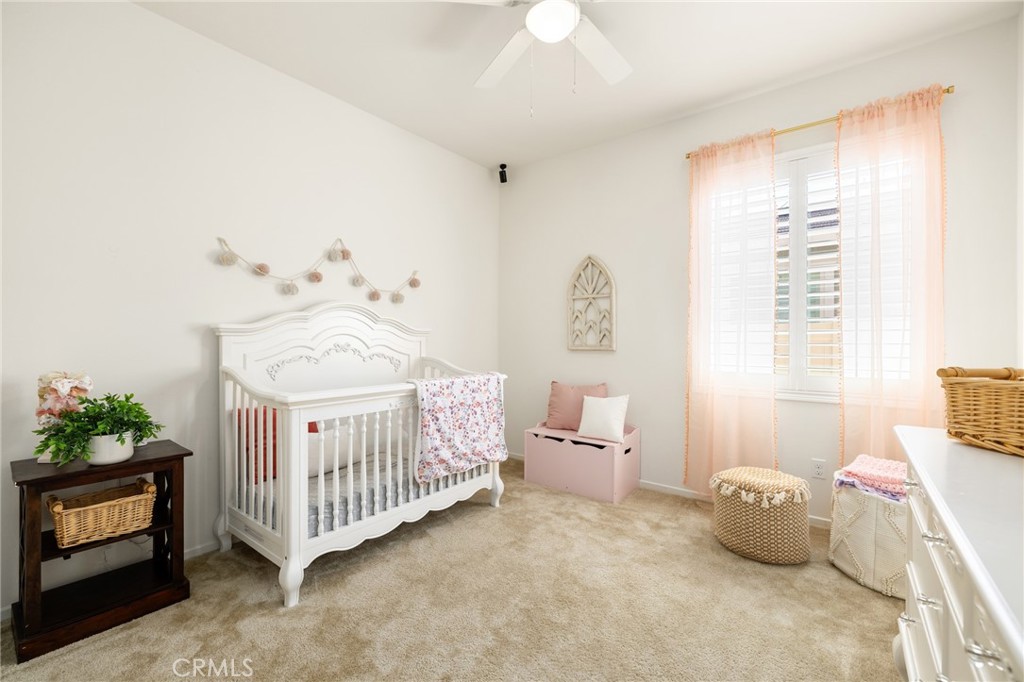 24393 Stargazer Way