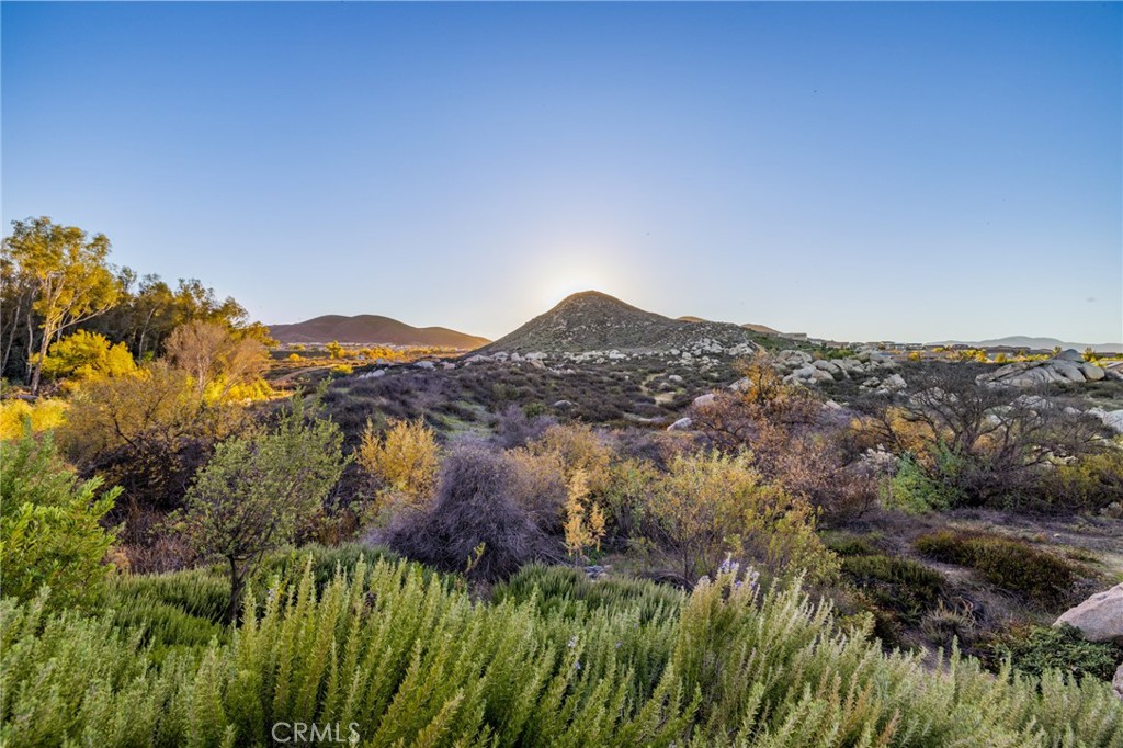 25313 High Noon Court