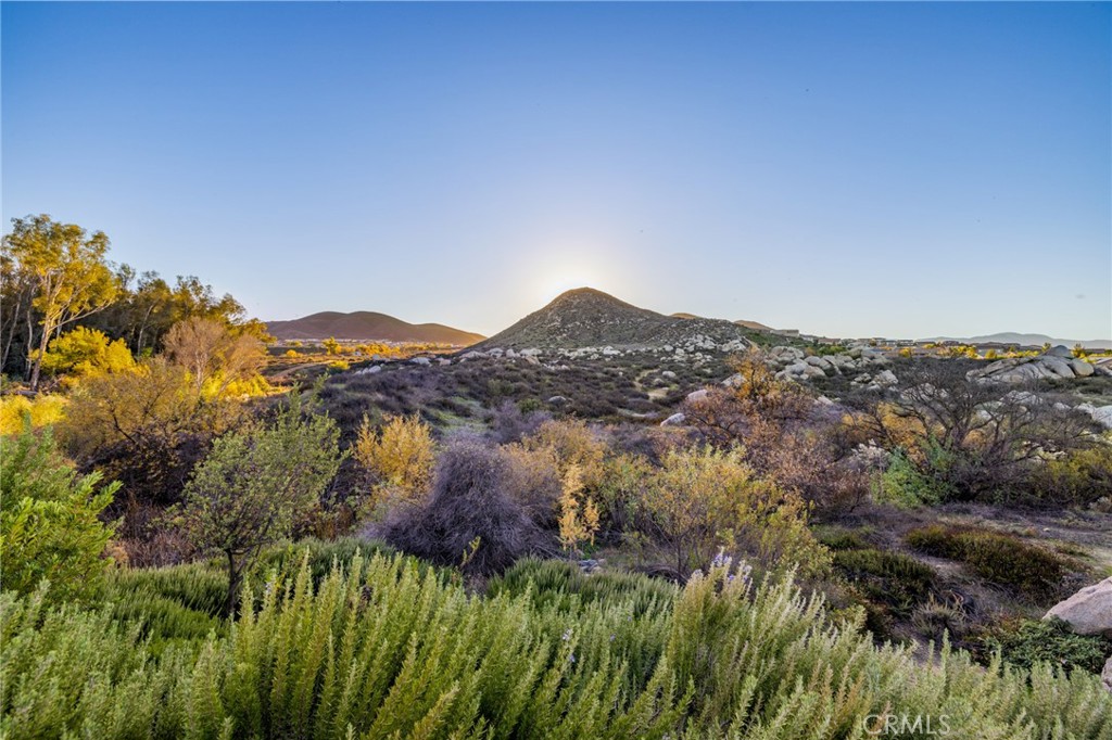 25313 High Noon Court