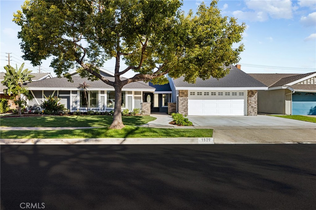 1529 Catalina Avenue