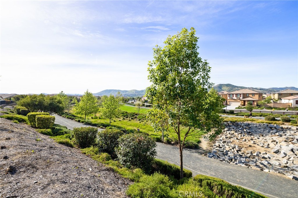 29819 Saddle Ranch Place