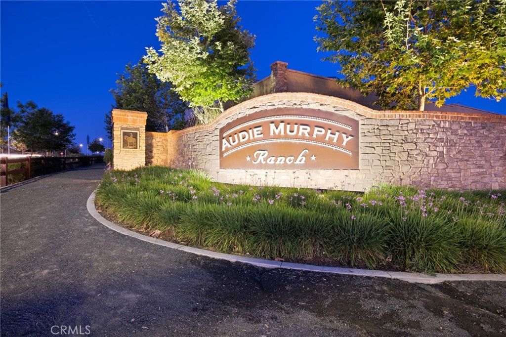 29819 Saddle Ranch Place