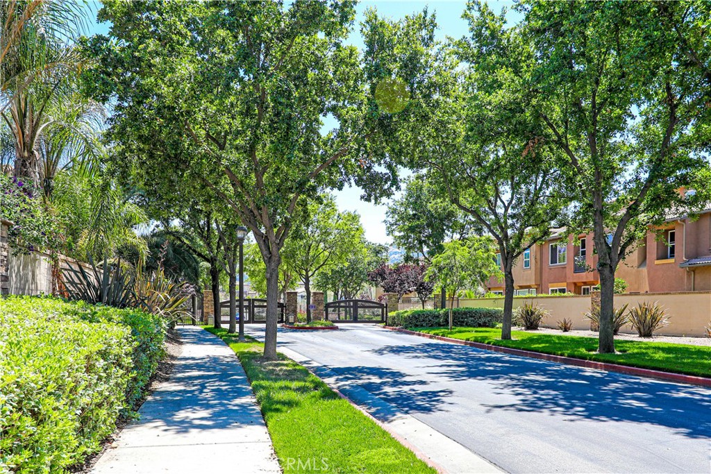 31189 Black Maple Drive