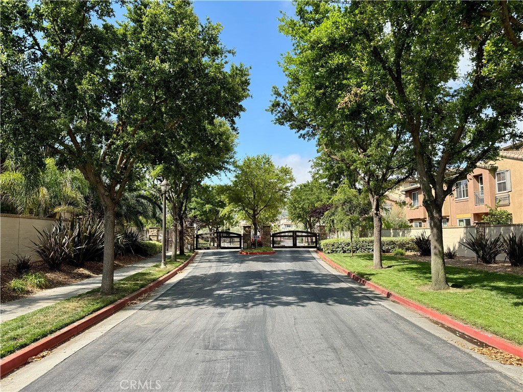 31189 Black Maple Drive