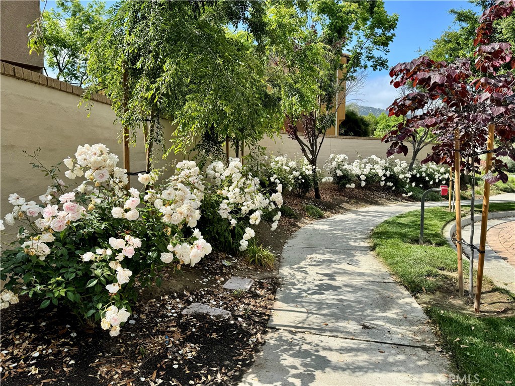 31189 Black Maple Drive