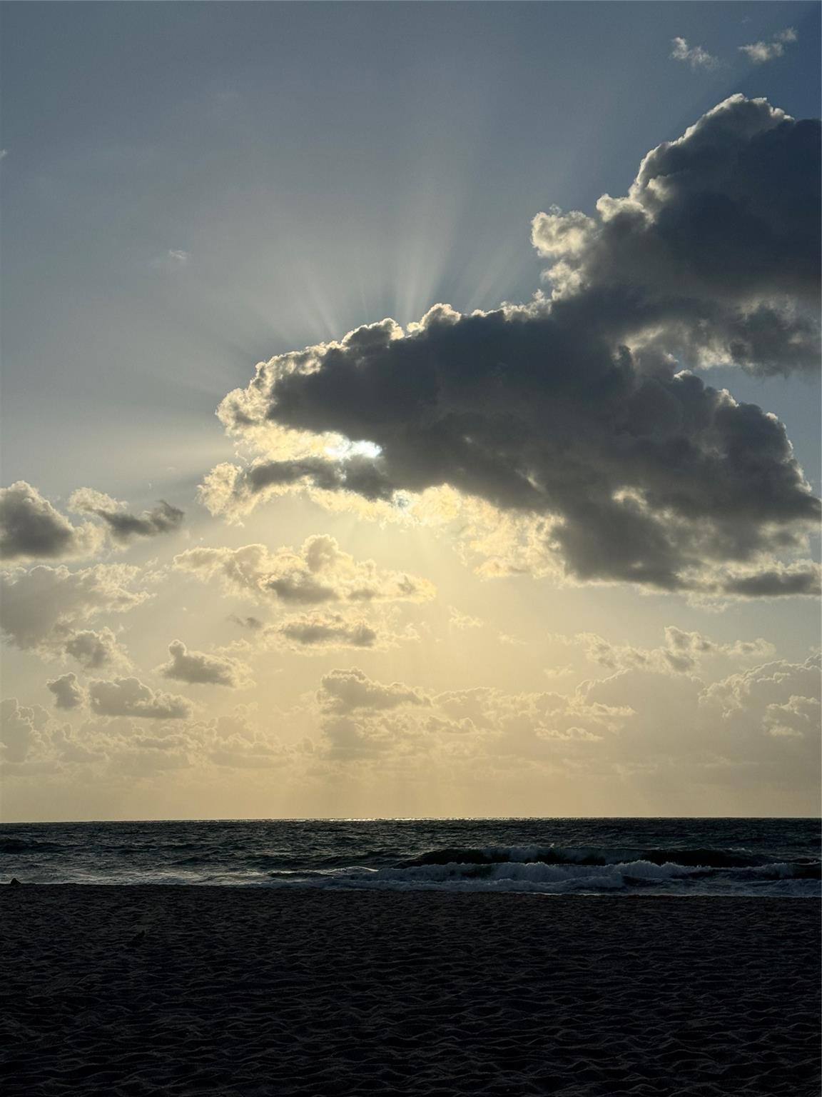 1818 E Oakland Park Blvd 95