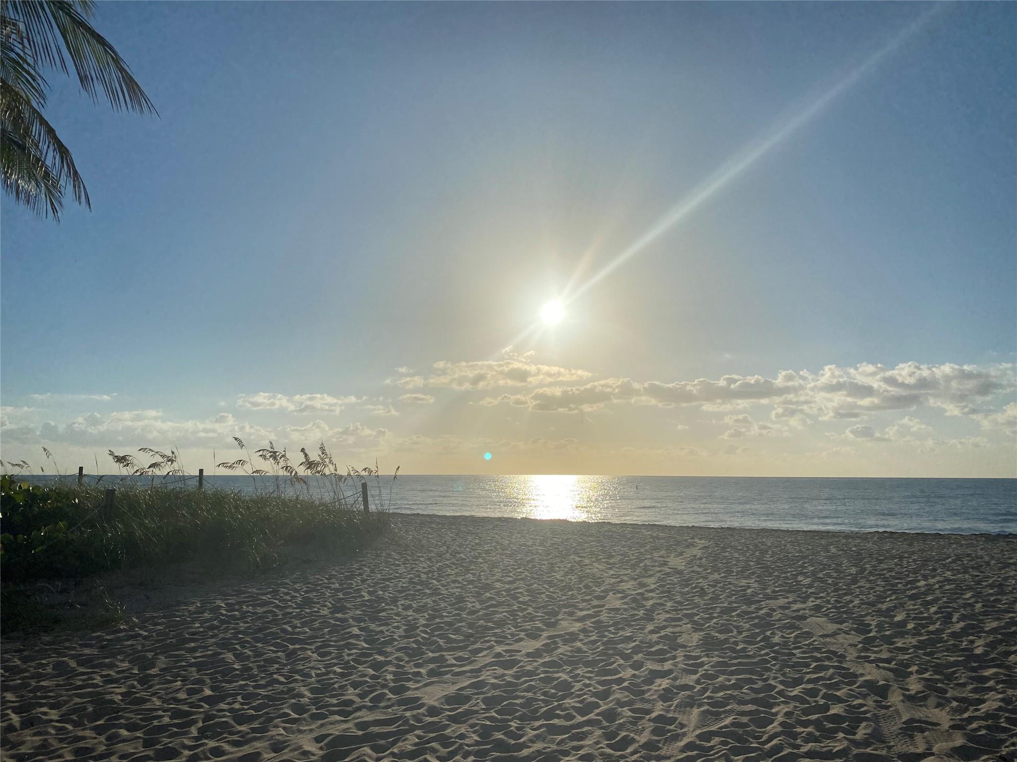 1818 E Oakland Park Blvd 95