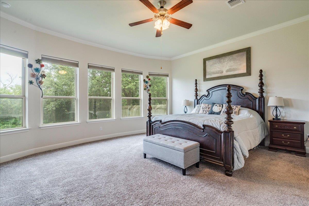 2204 Camino Alemeda LN