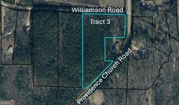 TRACT 3 Williamson Road