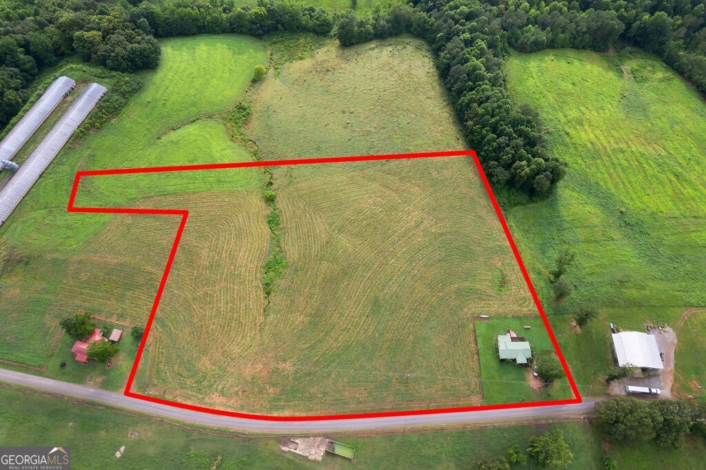 339 Cavender Lane
