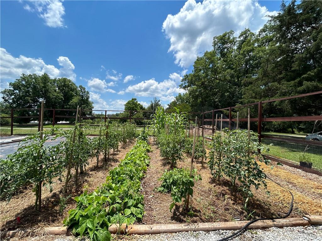 65 E Paoli Road