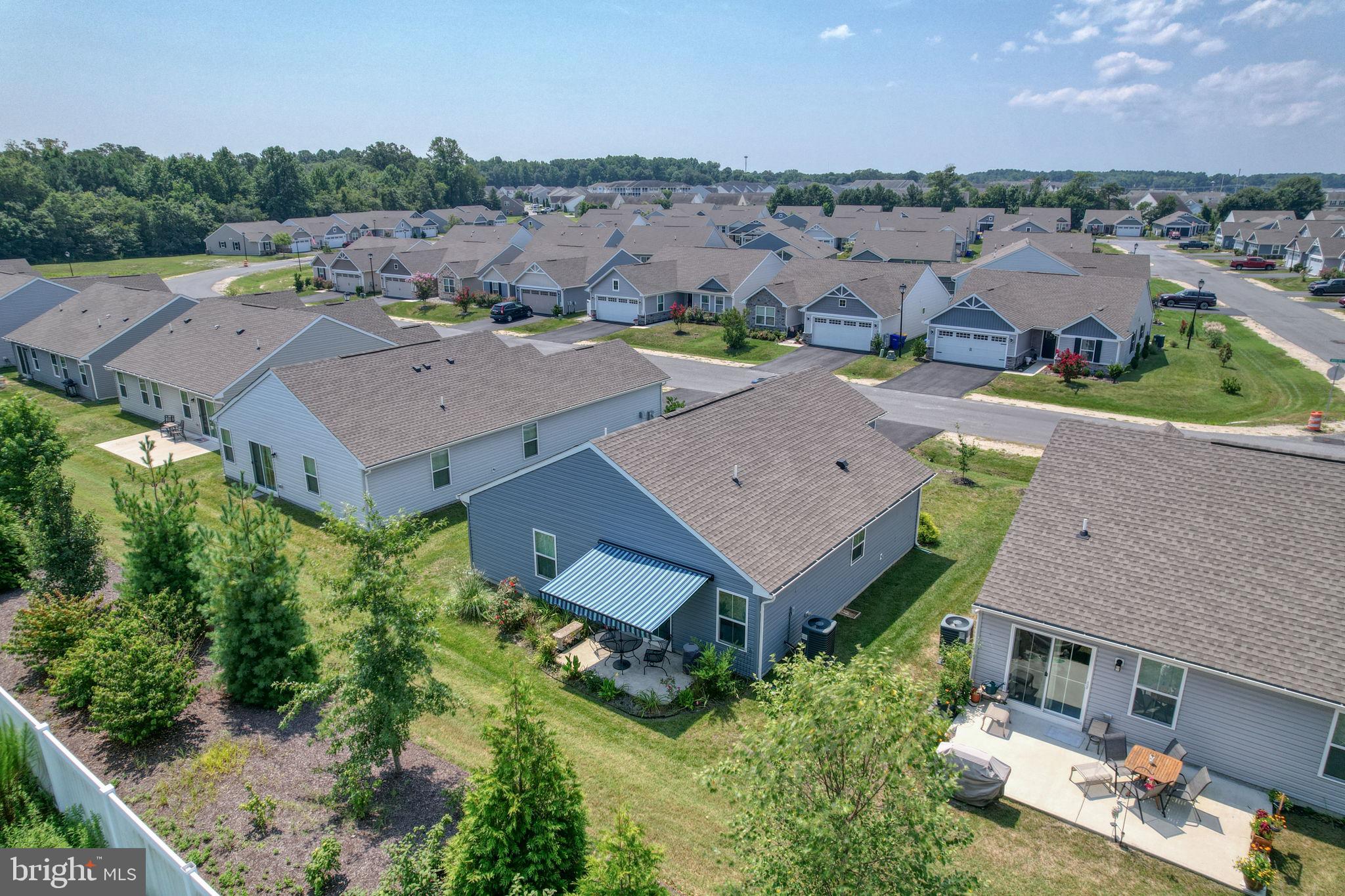 317 WINDFLOWER DRIVE 7