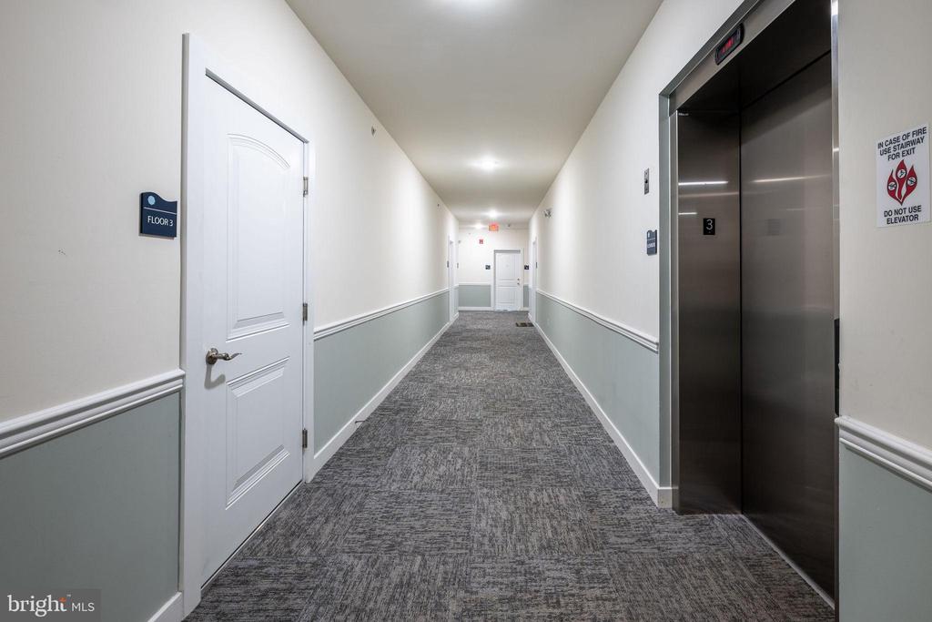 33737 SKIFF ALLEY 4309