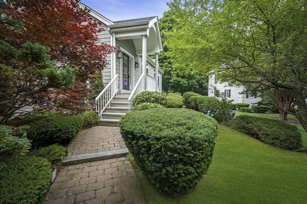 209 Maple Street