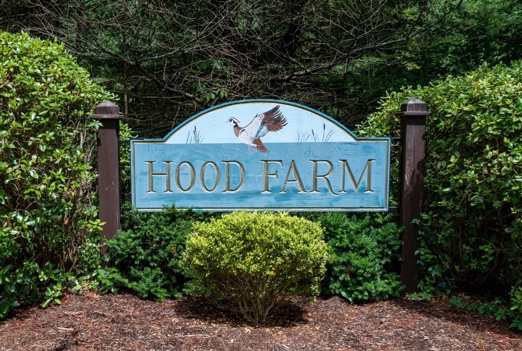 11 Hood Farm Road