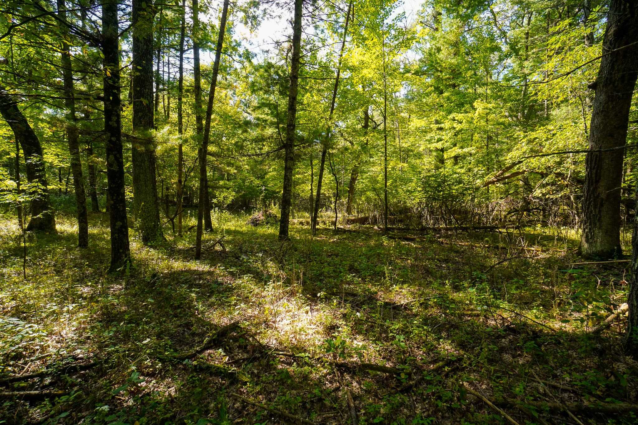 Lot 45 18th