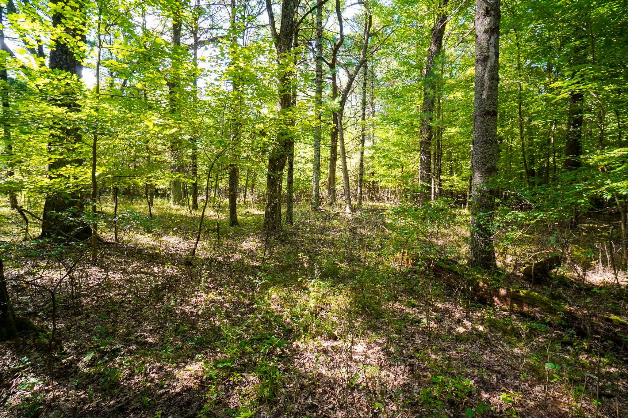 Lot 45 18th