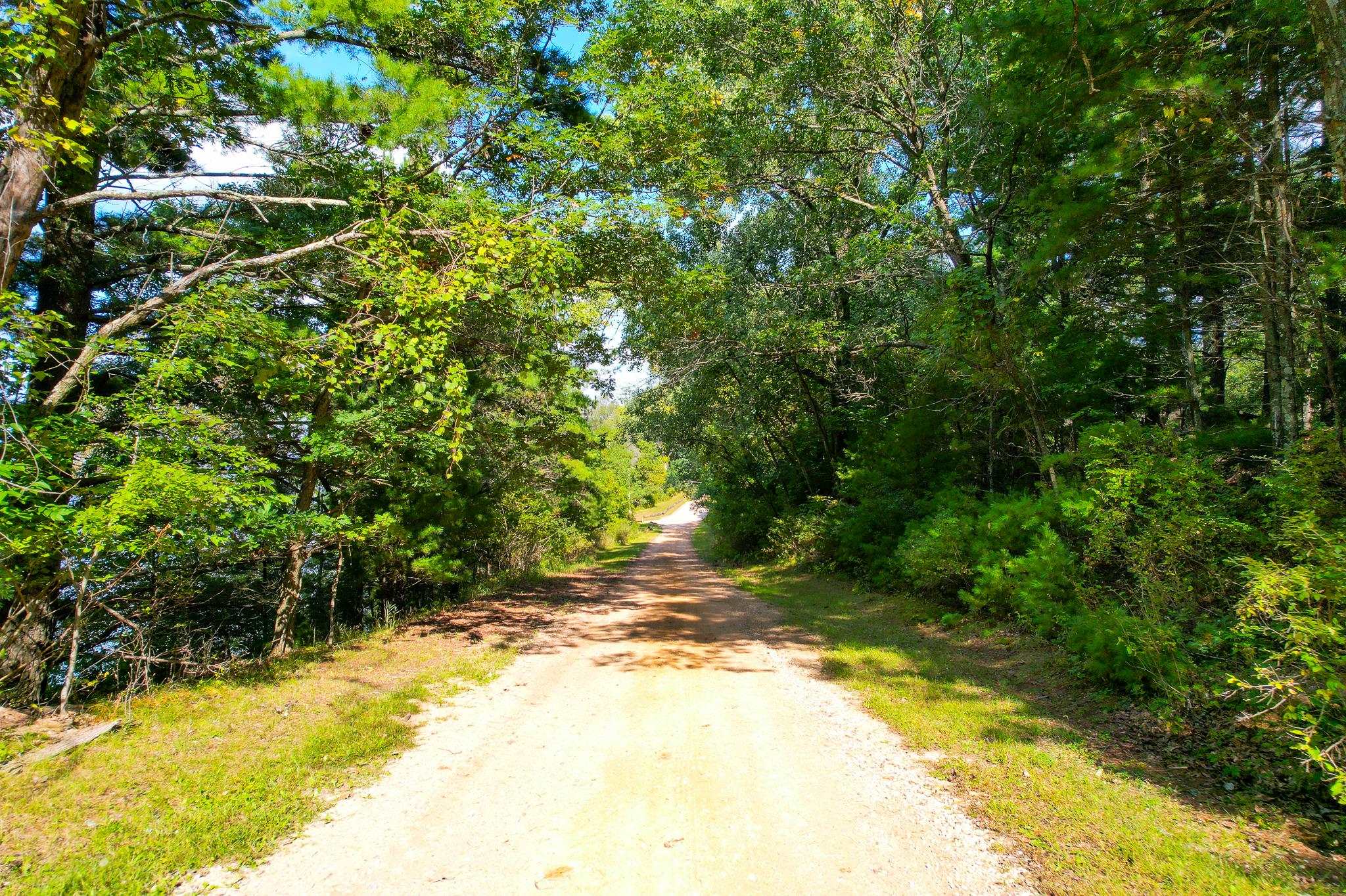Lot 45 18th
