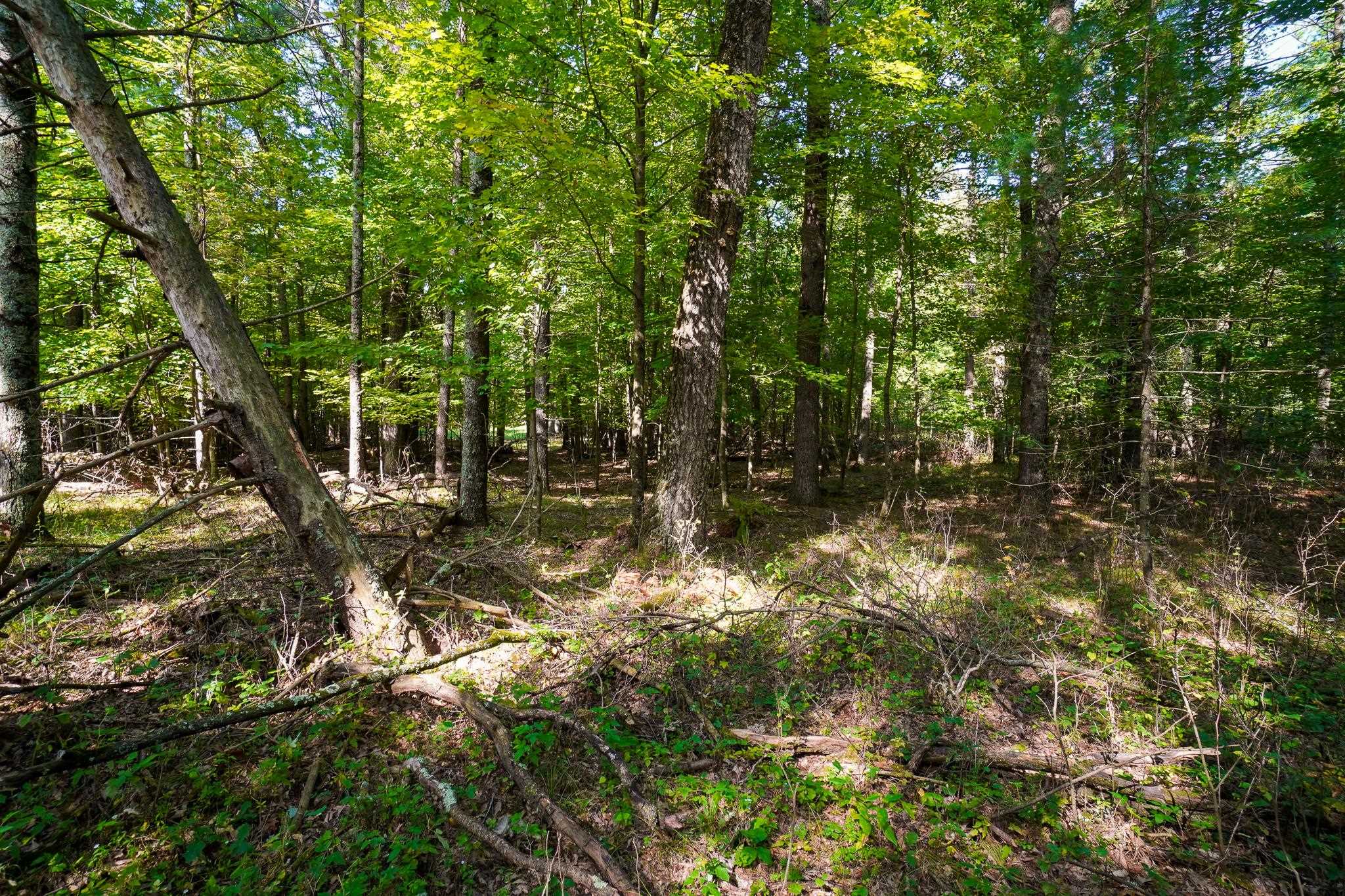 Lot 45 18th