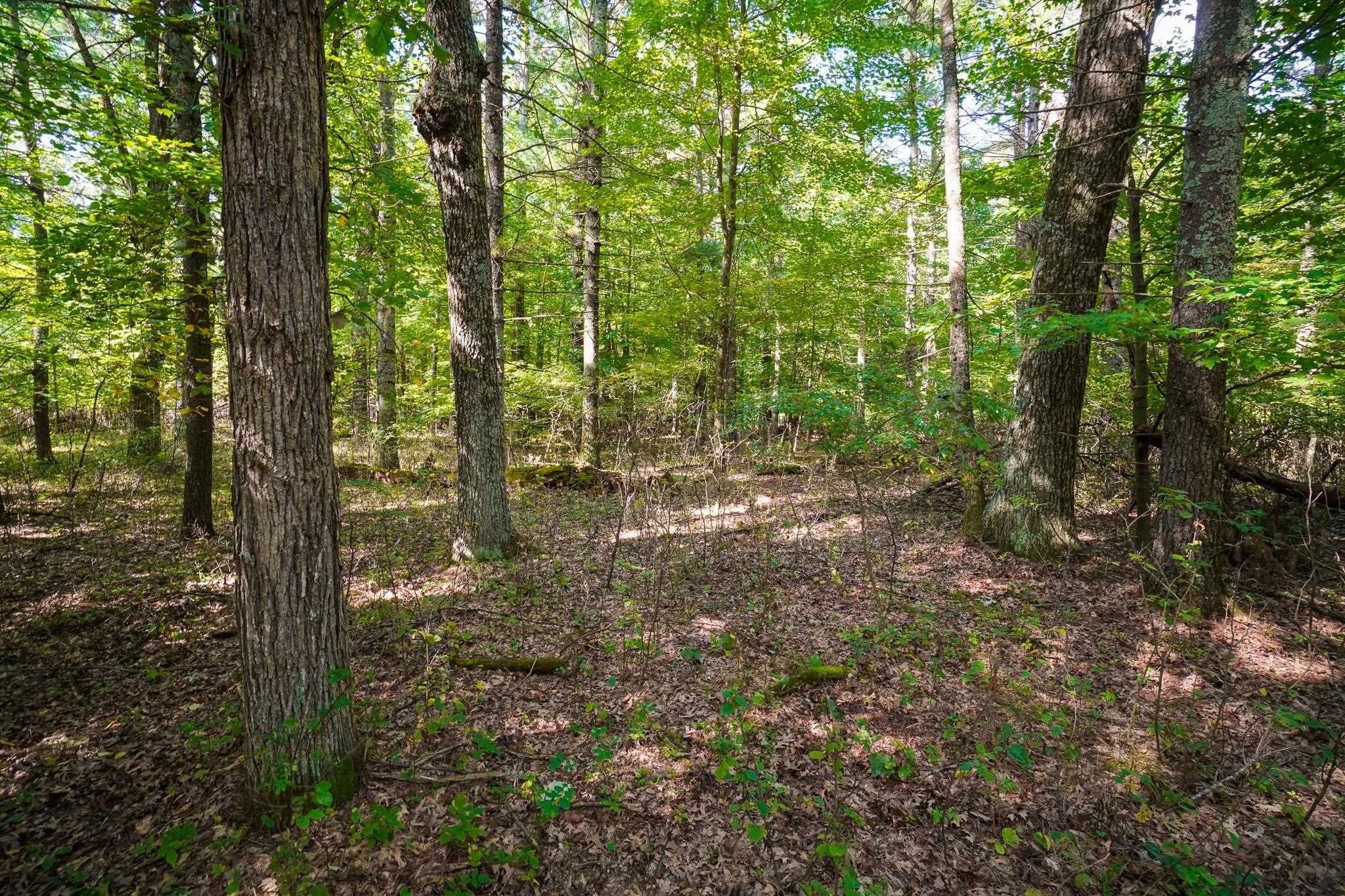 Lot 45 18th