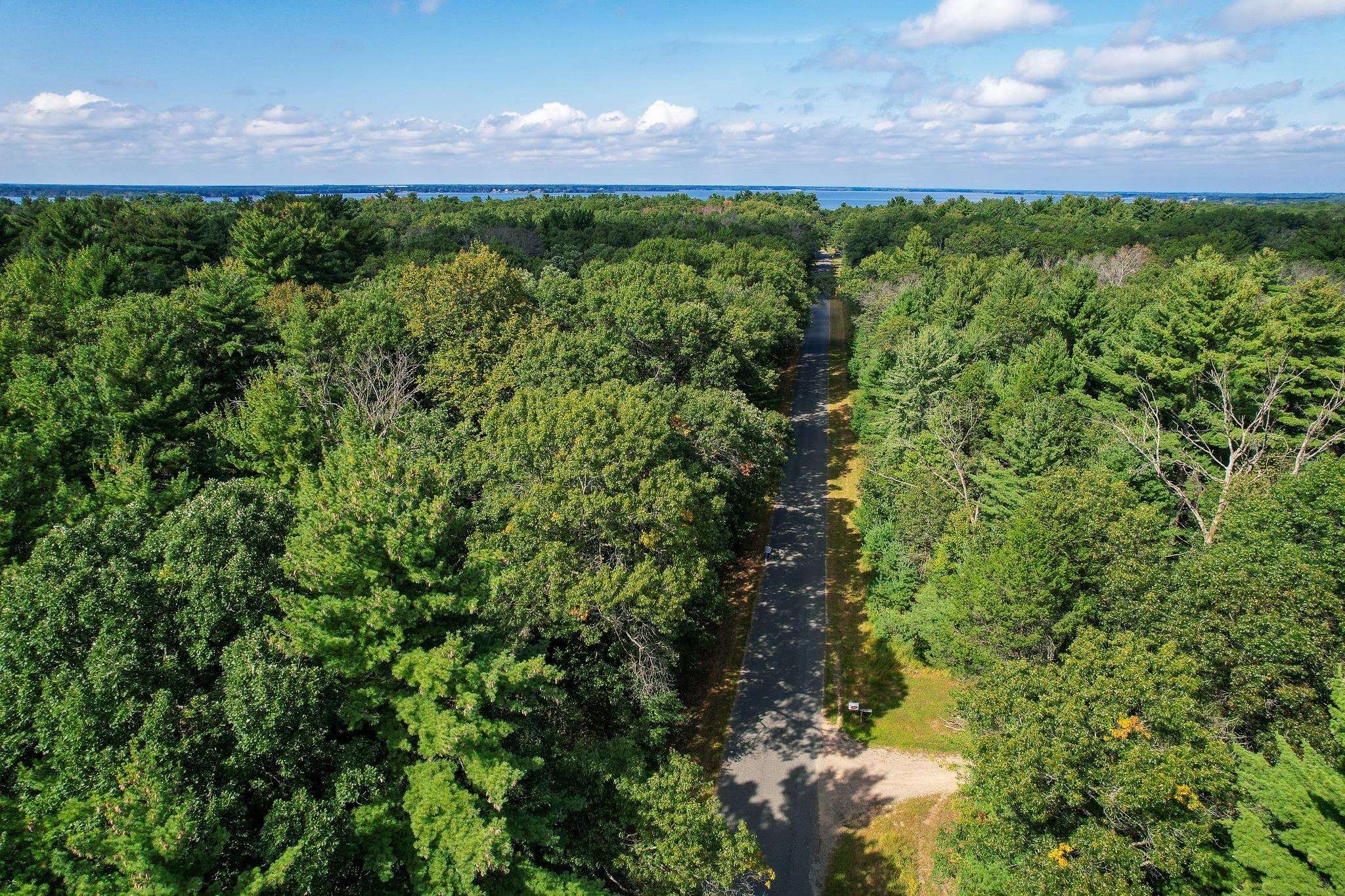 Lot 45 18th