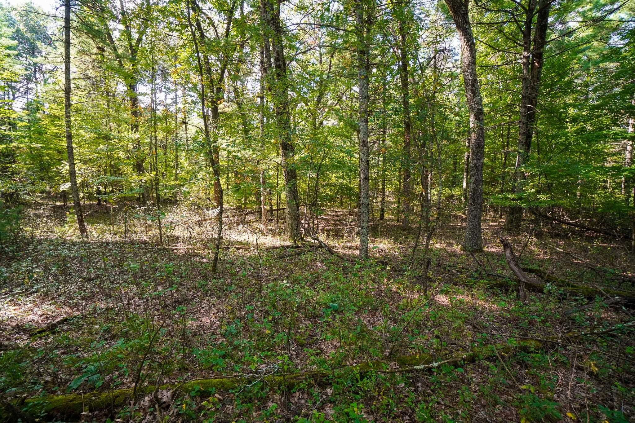 Lot 45 18th